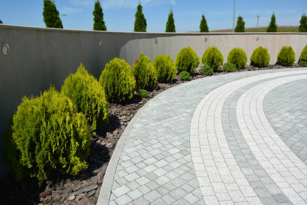 Best Residential Driveway Paver Services  in Tavares, FL