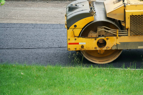 Best Decorative Driveway Pavers  in Tavares, FL