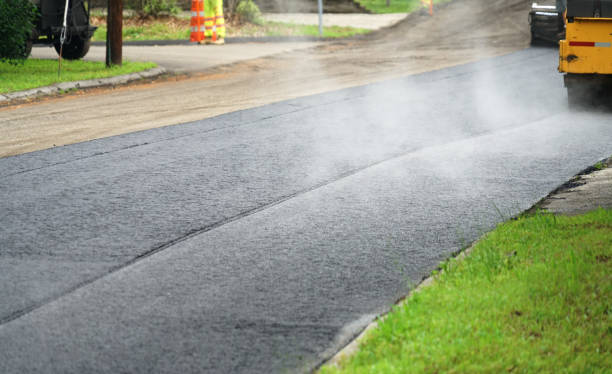 Best Professional Driveway Pavers  in Tavares, FL