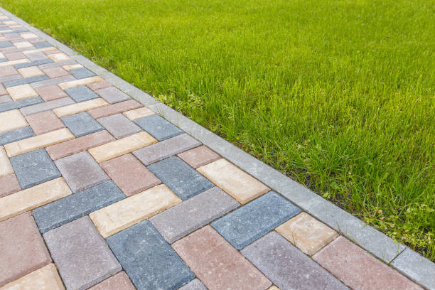 Best Brick Driveway Pavers  in Tavares, FL